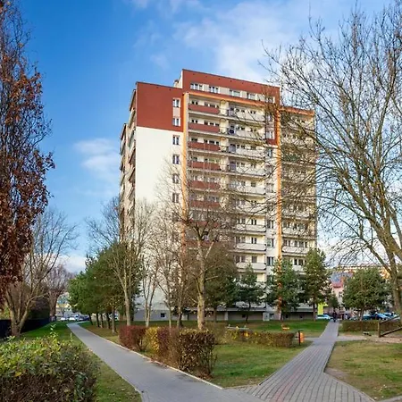 Panorama View